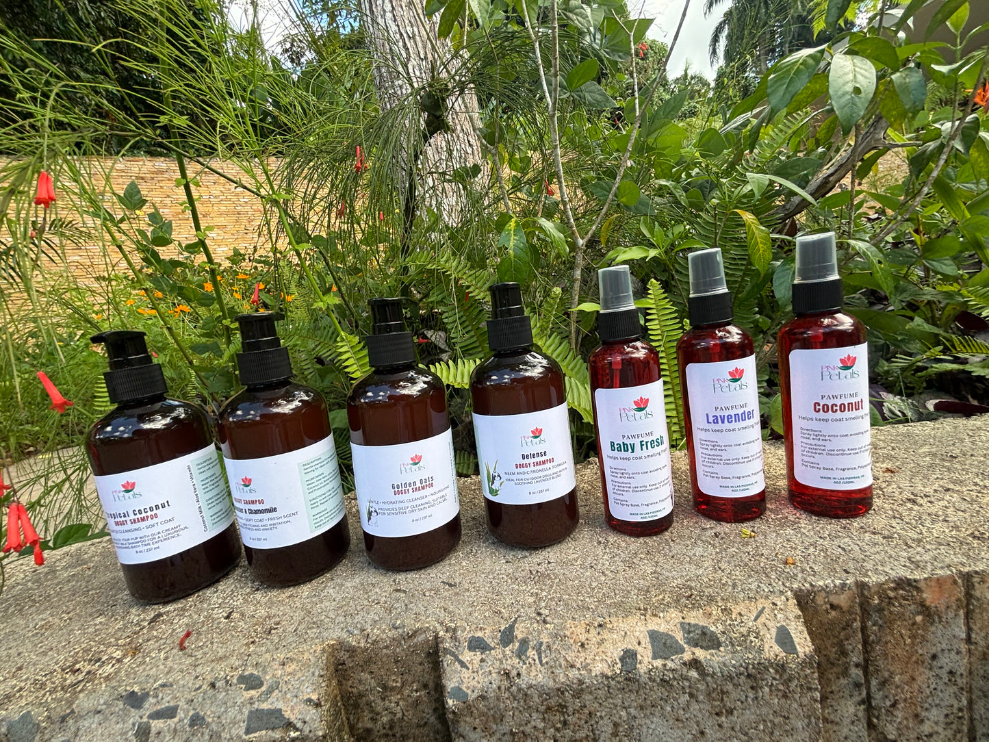 Golden Oats Shampoo